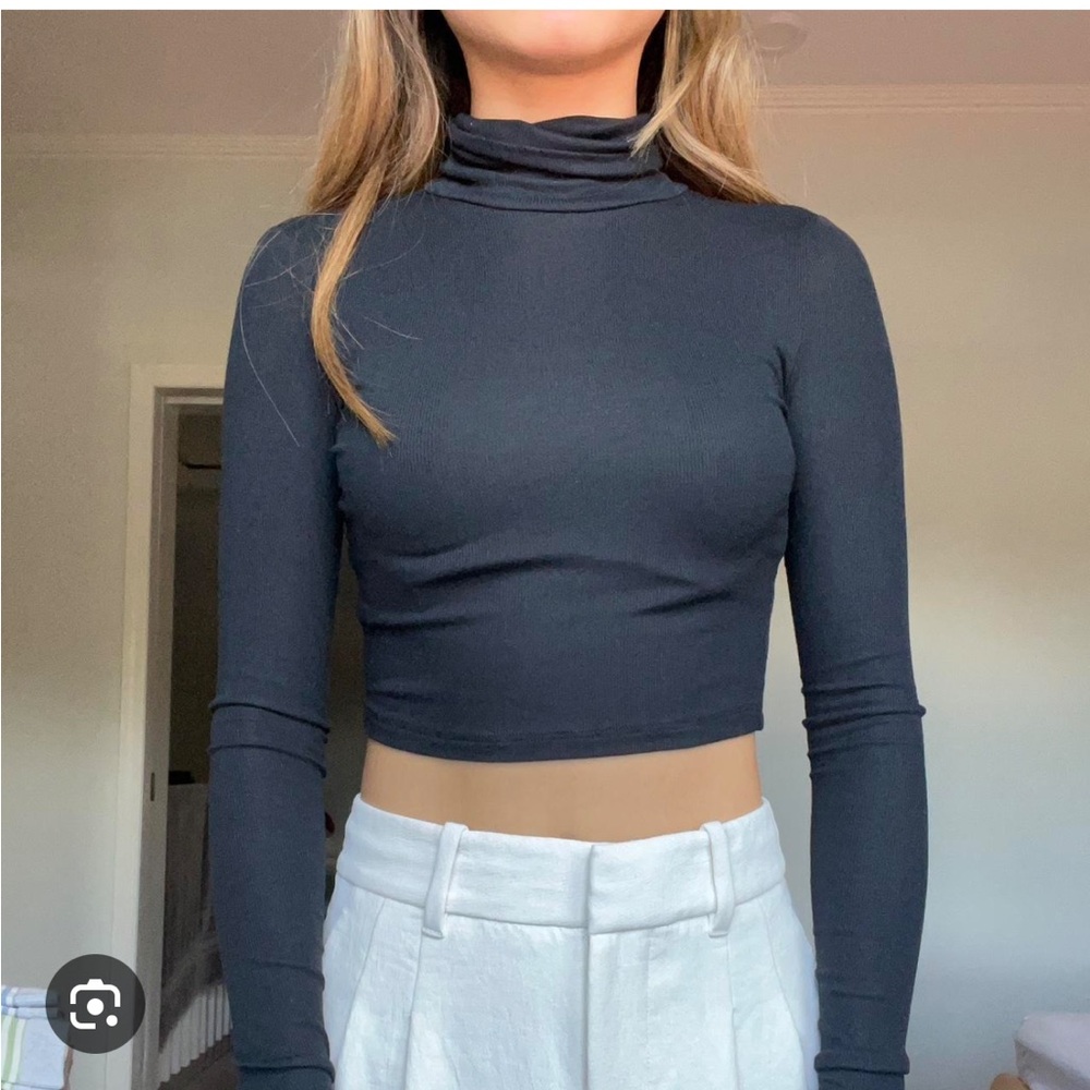 Aritzia Freshman Waist Turtleneck